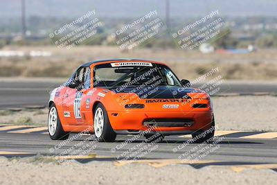 media/Oct-12-2025-Lucky Dog Racing (Sun) [[8adb5568ea]]/1-First Stint/3-Turn 11/